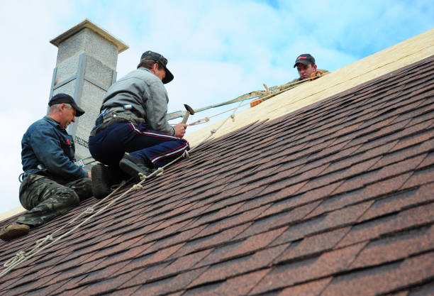 Best Roof Leak Repair  in Kouts, IN